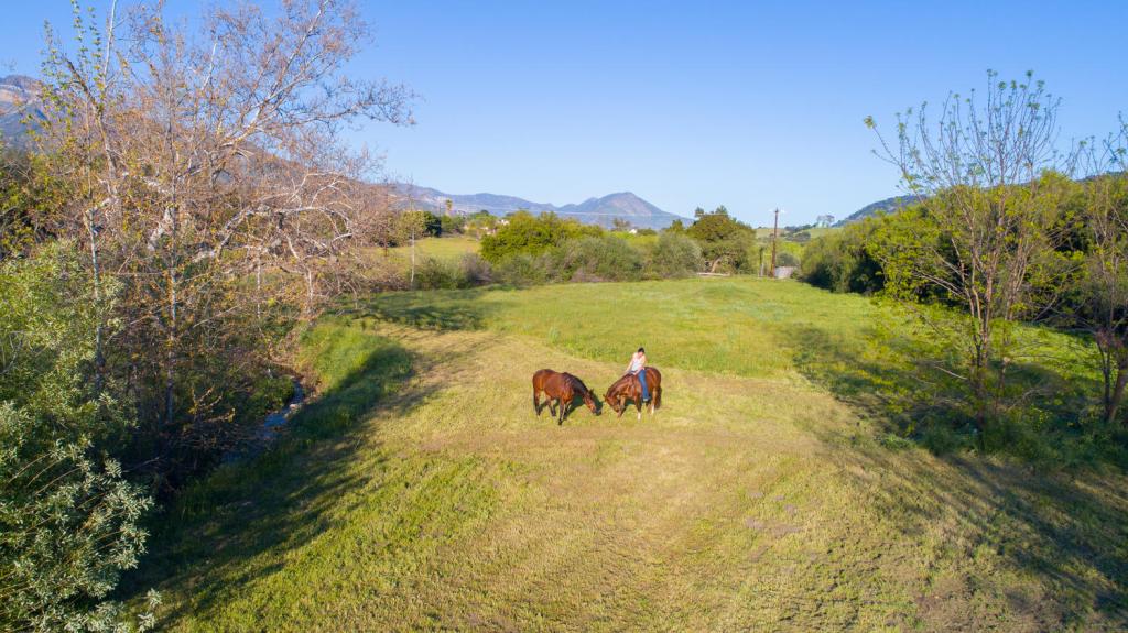 Twin Creek Ranch
